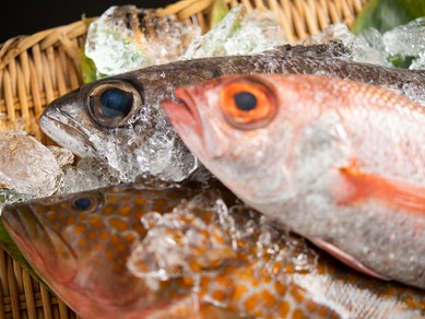 品質を見極め買い付ける、隠岐牛や日本海で水揚げされる魚介