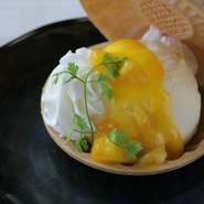 【KICHIRI】新作デザート『アイスモナカ』全5種酸味か甘味ベースの5種類のソースで楽しむ新作アイスモナカ！サクサクのモナカの食感と共にお楽しみください！