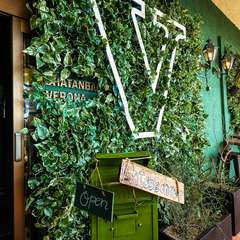 看板を覆い隠すように生い茂る葉・葉・葉