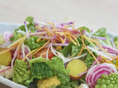 太陽の光、土の恵み、豊かな水で育まれた野菜を使用『三浦野菜の彩りサラダ』
