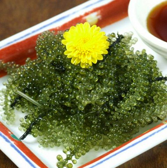 プチプチ海ぶどう