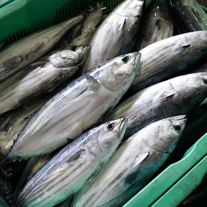 旬の食材にこだわっている