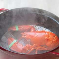 食べ応え満点のオマール海老を独り占め。プレミアムなプランも
