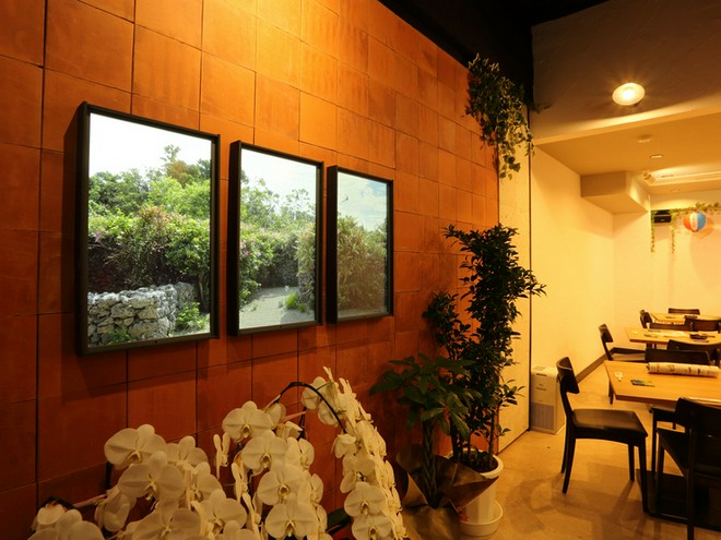 食器・内装にこだわっている