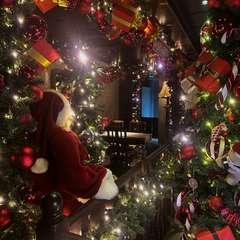 デートにピッタリ