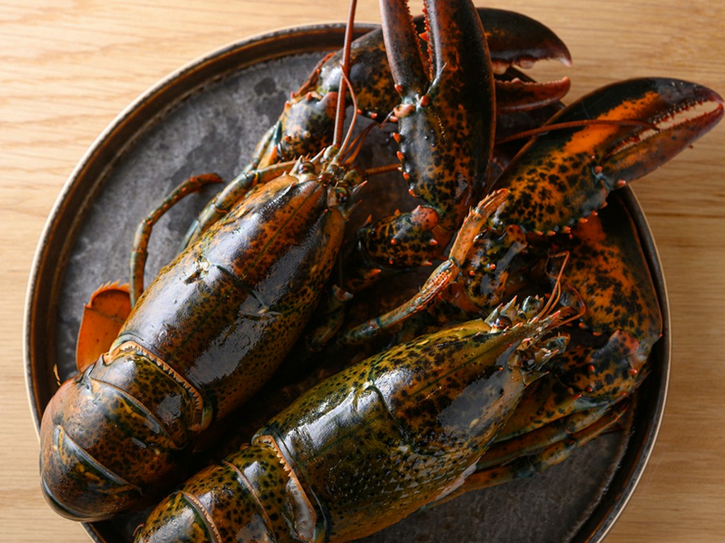 厳選素材を使用した特別な逸品も