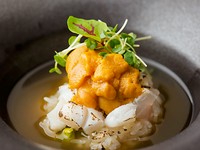 道産食材を中心に、各地から旬の食材を厳選。
ひときわ贅沢なフレンチディナーを愉しめる本格コース