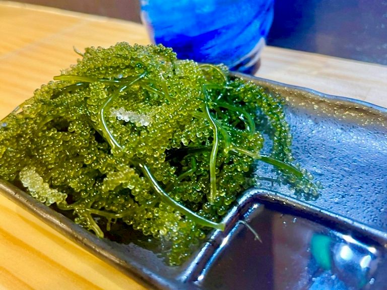 海ぶどう