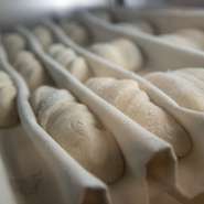 パンづくりに欠かせない小麦粉は、国内外から上質な素材を取り揃え、アイテムによって使い分けています。地元産にもチャレンジ中で、川根本町産の小麦粉を活用したパンも新登場。今後、順次拡大していく予定だとか。