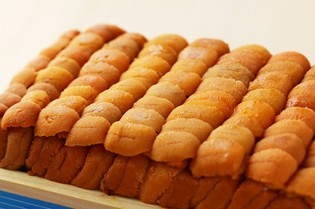 新鮮で濃厚な旨み。匠の目で厳選された、国産の上質な食材