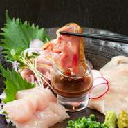鹿児島から直送の鶏肉を使った『鶏刺』が3種類。新鮮ならではのご馳走です。写真は左から肉厚で食感が強く、しっかりとした味わいの『とりむねたたき』と『とりももたたき』、甘みのある『ササミ刺し』。