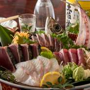 高知近海の旬魚をメインにさまざまな季節の鮮魚をお出ししております。