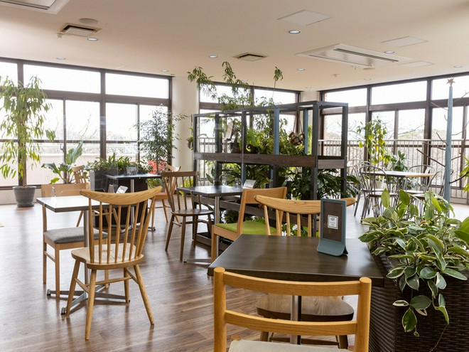 オシャレな雰囲気