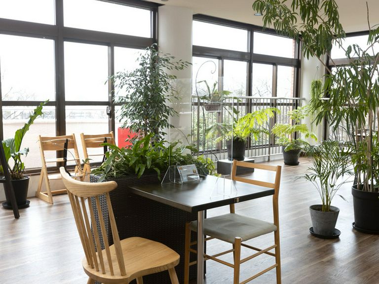 四季折々の情景を楽しめる開放的な店内