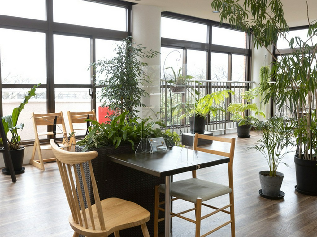 四季折々の情景を楽しめる開放的な店内