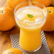 公園内にある果樹園で栽培された、とれたてフルーツを使ったフレッシュジュース。伊予柑やオレンジなどの柑橘系に、黒ぶどうやストロベリーグアバなど、一年を通して色とりどりのジュースを楽しめます。
