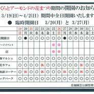 さくらとアーモンドの花まつり期間の営業について