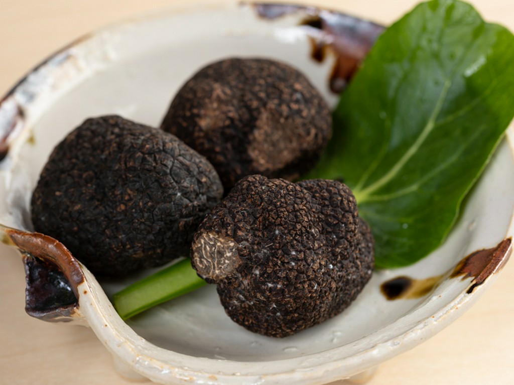 食材へのこだわりと愛情。旬の新鮮な高級食材を使用