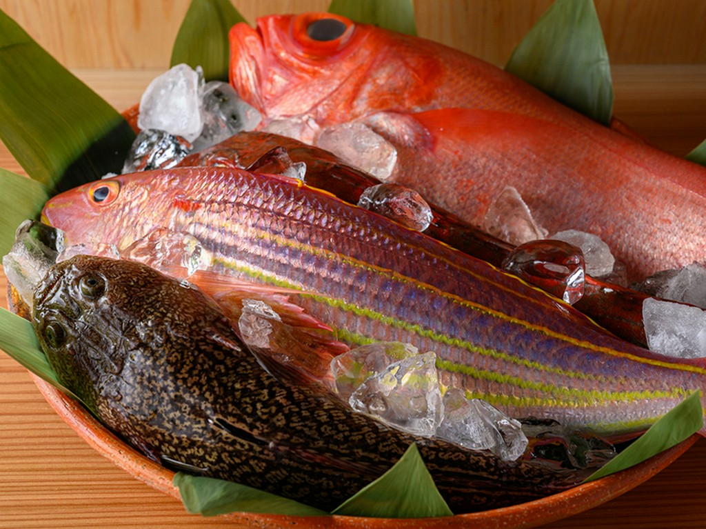 天然モノにこだわった鮮魚など、選りすぐりの旬を用意