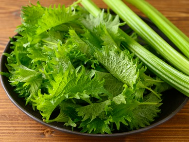 たんぱく質や緑黄色野菜など。不足しがちな栄養素をたっぷり使用