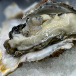 プリプリの生牡蠣。最初は何もかけずにそのまま召し上がってください。小さな海の味がします(｡･ω･｡)ﾉ♡
（入荷した日のみの販売です）