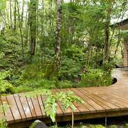 緑に囲まれたログハウス風カフェで過ごす癒しのひととき