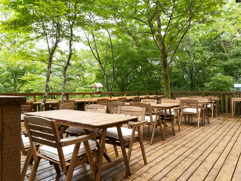 森に癒され、非日常的な空間を楽しみながら料理をいただく