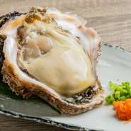 ミルキーで濃厚な味わいが人気の『天然特大岩かき』。お酒が進む逸品です。その大きさに度肝を抜かれる超大型サイズの天然岩牡蠣は、プリップリの食感に、濃厚でクリーミーな旨みがあふれ出します。