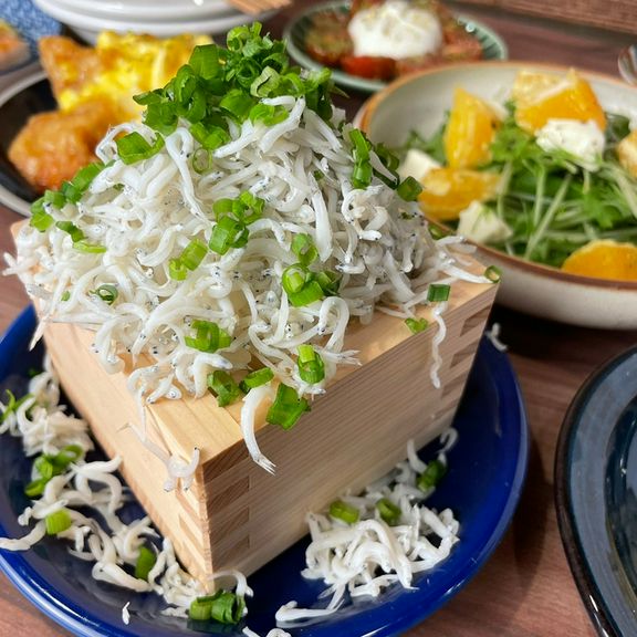 こぼれしらす丼