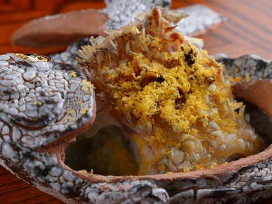 純和風の凜とした設え、オリジナルの唐津焼が料理の趣を深める
