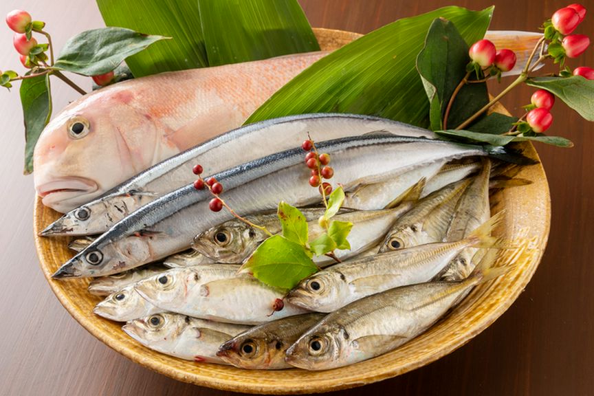 高知の地物の旬魚を深夜でもお楽しみ頂けます。