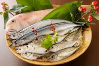 高知の地物の旬魚を深夜でもお楽しみ頂けます。