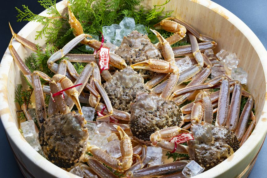 冬の味覚の王 「松葉蟹」