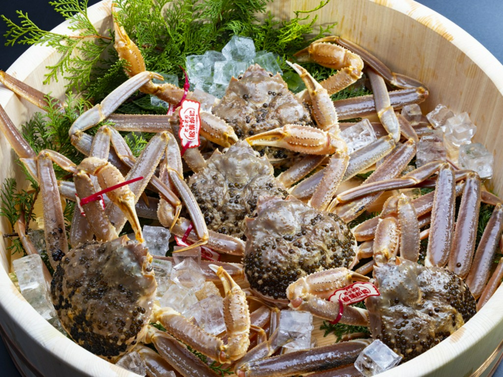冬の味覚の王　「松葉蟹」