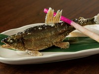 季節を感じる旬魚を焼き物で