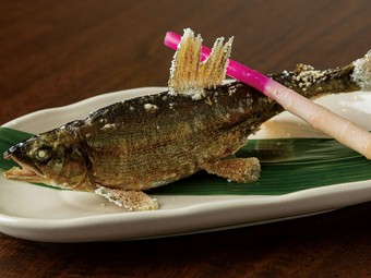 おさかな屋オカピ 西梅田/海鮮料理 ネット予約可 | ヒトサラ