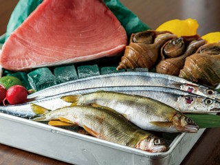 毎日市場から直送！新鮮な海鮮を味わえます。