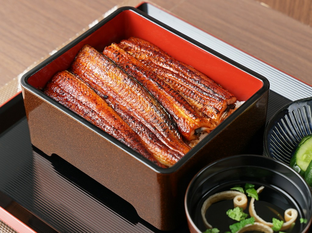 どんと一匹に大満足『鰻重　特上』