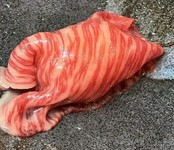 牡蠣醤油でお召し上がりください。
