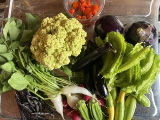 地元産の和牛・自家菜園野菜・果物、各地の鮮魚、フランス産食材