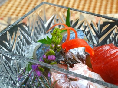 お任せコース《雅》