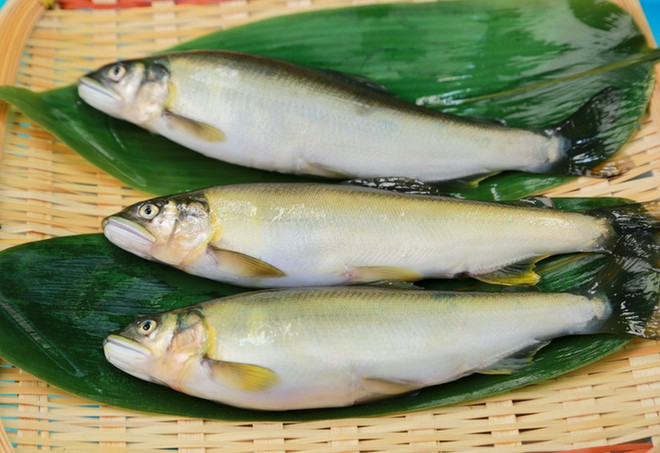 食材にこだわっている