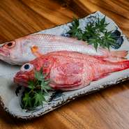 四季折々の鮮度抜群な魚介類が味わえる。日本酒とも好相性の『鮮魚』