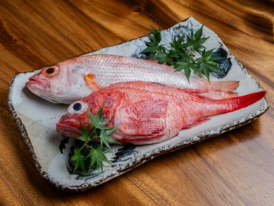 四季折々の鮮度抜群な魚介類が味わえる。日本酒とも好相性の『鮮魚』