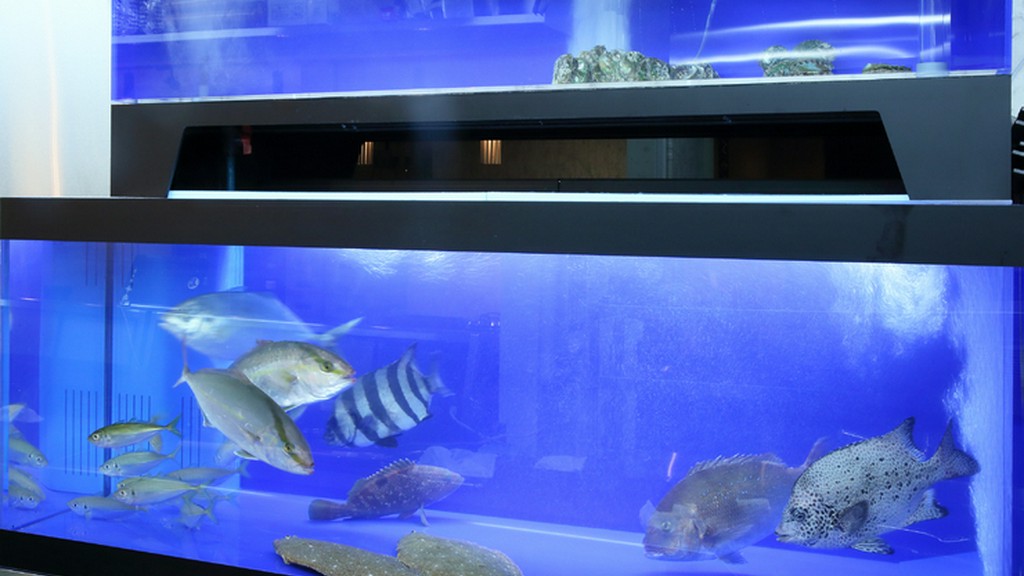 常にゲストの目線で考え、心地よいサービスを提供したい