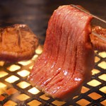 <期間限定>【蒼 Aoプラン】焼肉と和牛ユッケやひつまぶしのコースお任せ10品