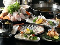 全て活ふぐにてご提供

先付け
ふぐ皮刺し
活てっさ・白子
焼きふぐ
ふぐ唐揚げ
ふぐ焼売
活てっちり・ふぐしゃぶ
雑炊 香ノ物
デザート
白子刺身は11月半ば～3月ご提供