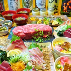 Koshitsuizakayatosashogunkaien