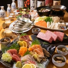 Koshitsuizakayatosashogunkaien