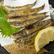 高知へ来たなら…県外から高知へ来られた方は是非。